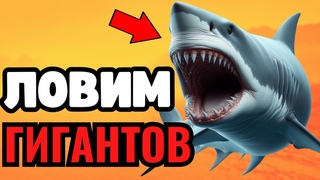 РР4 СТРИМРУЛЕТКИ КАЖДЫЕ 20 МИНУТРЕКОРДНЫЙ ФАРМ