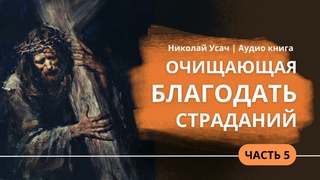 05 Очищающая благодать страданий || Николай Усач | Аудио книга