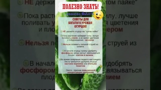 ПОЛЕЗНО ЗНАТЬ! Советы огородников №60 #shorts #рецепты  #советы