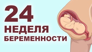 Что происходит с мамой и ребенком на 24 неделе беременности 6 месяц беременности. Второй триместр.