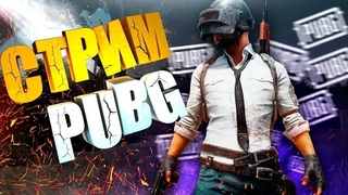 РОЗЫГРЫШ БП В ТГ  #pubg   #стрим #пабг #пубгм #pubgm