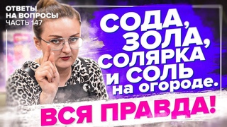 СОДА, СОЛЬ, СОЛЯРКА и ЗОЛА на огороде! Применять или нет Отвечаем на ваши вопросы