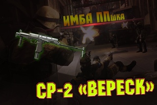 Warface:The views СР-2 «Вереск»