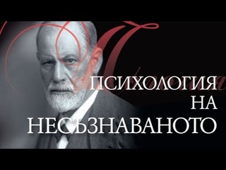 Кога човек става гей или истински мъж, как се формира сексуалността ни: да забраним ли гей-парадите