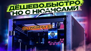 FLYINGBEAR S1. Сочетание высокой скорости и низкой цены! Проверим производительность и надёжность