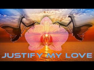 Madonna - JUSTIFY MY LOVE (rmx trip video)
