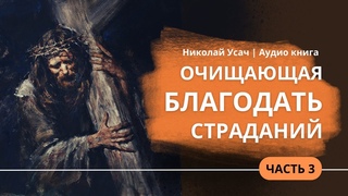 03 Очищающая благодать страданий || Николай Усач свидетельство | Я показал тебе, что будет твориться
