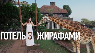 Скільки кошту сафарі мрії Життя з жирафами та зебрами та найкращі парки Кенії | КЕНІЯ ч.2