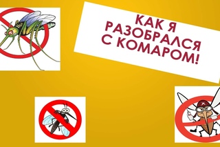 КАК Я КИНУЛ ВЫЗОВ КОМАРУ!!!!  О_о