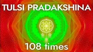 TULSI PRADAKSHINA   108 times   SERIES Spirituality and Meditation