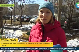 Борьба за птичьи права: москвич спасает старейшую голубятню от сноса