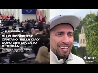 Рассвет