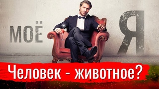Сёмин о животном начале в человеке