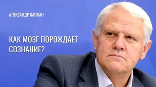 Как мозг порождает сознание Александр Каплан