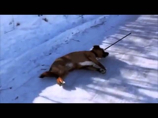 Как ты идешь на первую пару
