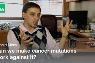 Driver and Passenger  Mutation in Cancer – Leonid Mirny