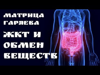 Коррекция работы ЖКТ и обмена веществМатрица ГаряеваКвантовое исцеление звуком Часть.1