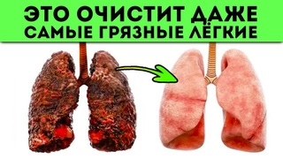 Вот что выйдет из лёгких! Мощнейшая чистка лёгких от смол, никотина, слизи и токсинов