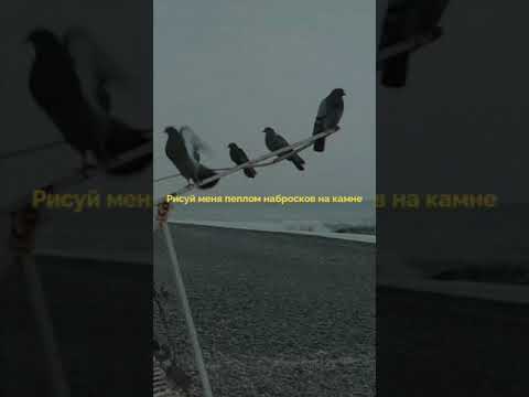 рисуй меня пеплом наброском на камне. нарисуй меня пеплом. остался только пепел. рисуй меня пеплом наброском. текст рисуй меня пеплом наброском на камне.