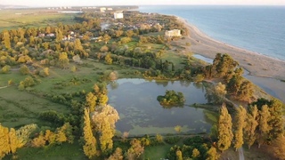 Алахадзы / Цитрусовый совхоз с квадрокоптера DJI. Абхазия