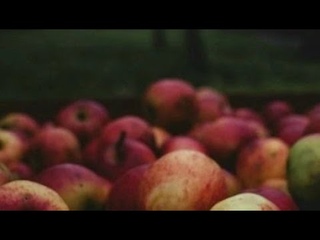 Снятие Внутриутробного/Материнского Проклятия
