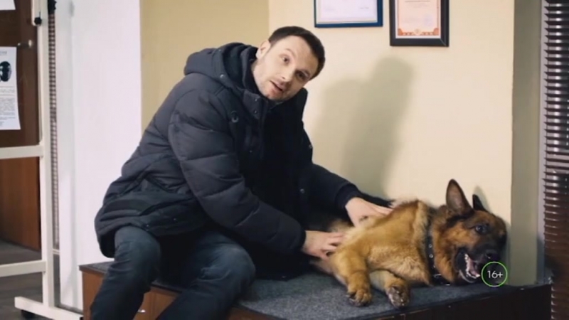 #сериалНТВ: "Мухтар. Новый след" - анонс