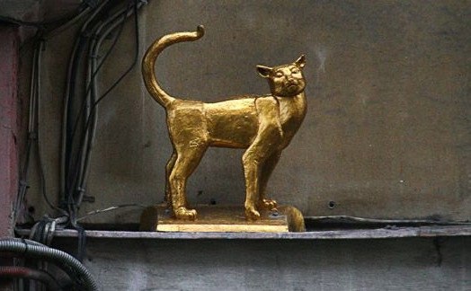 Кошка василиса санкт петербург Кошка василиса санкт петербург