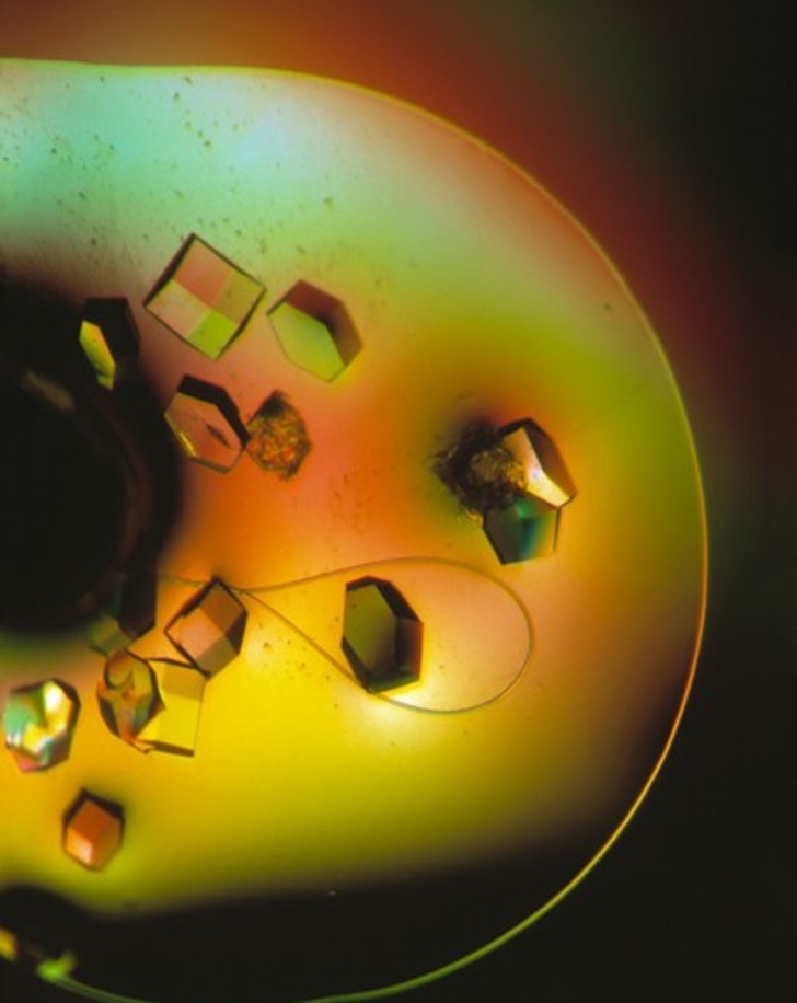 8 особенностей человеческого тела, о которых знают даже не все медики.