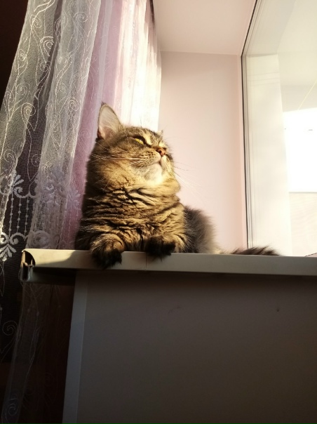 Доброе утро!