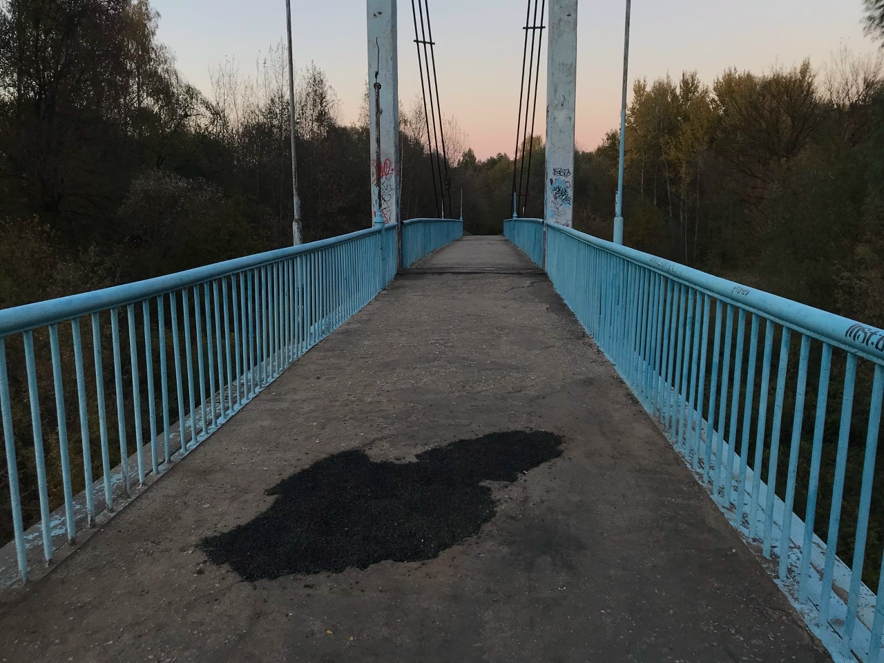 голубой мост брянск выгоничи