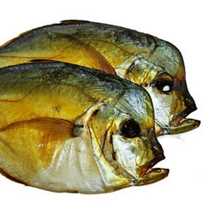 Как выглядит рыба вомер Как выглядит рыба вомер