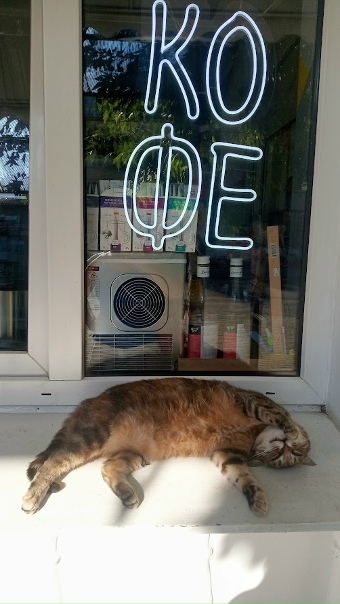 КОТЕ
