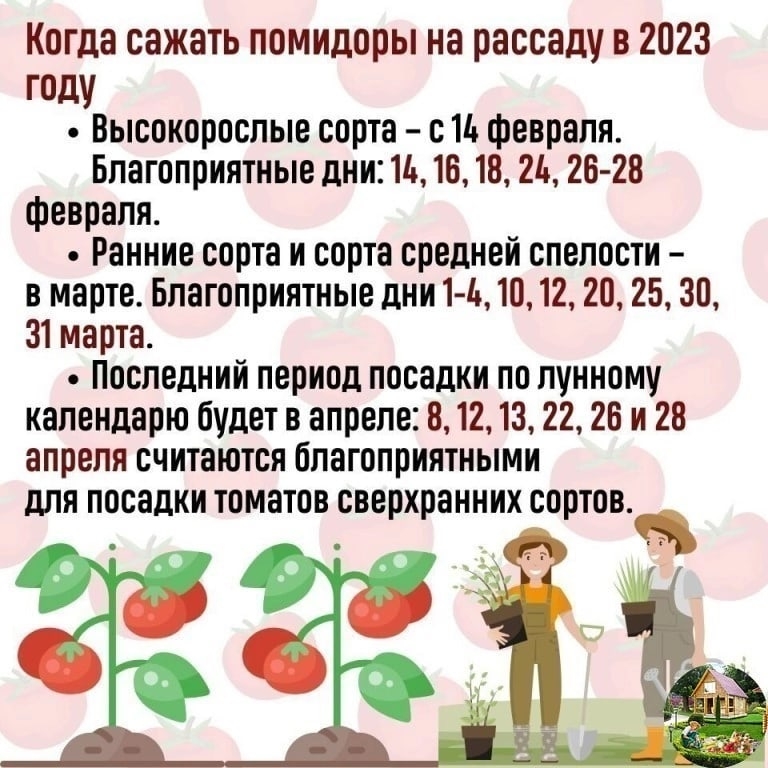 Лунный календарь на февраль для посадки рассады
