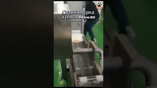 Формовочный станок для котлет FX-2000 #Shorts Meat Pie Patty #Burger Hamburger Production