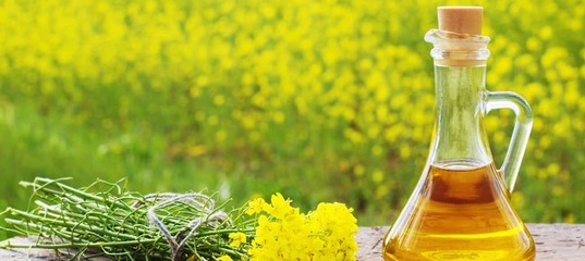 Рапсовое масло молоко. Рапсовое масло молоко