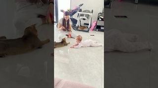 Котёнок чаузи Сколл играет с дочкой