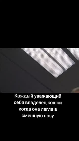 Клипы Пикчикс