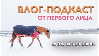 ВЛОГ-ПОДКАСТ: день на конюшне от первого лица
