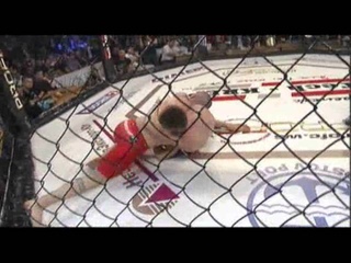 PROFC 47: Бой 9 (77 кг) Damien Berteaux vs. Сергей Фалей
