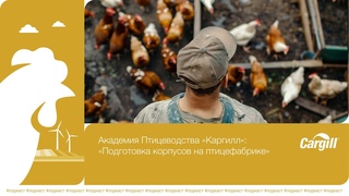 Подготовка корпусов на птицефабрике